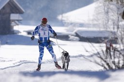 Lenk 2013